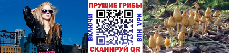 Псилоцибиновые грибы мухоморы  Истра 